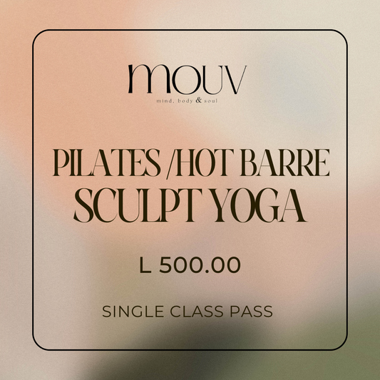 Pilates/Hot Barre/Sculpt/Yoga Single Pass